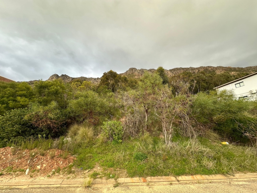 0 Bedroom Property for Sale in Mountainside Western Cape